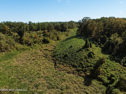 Land, Holly Springs, MS