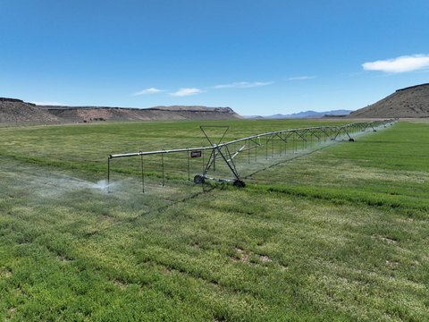 Irrigated Ranch and Hay Ground