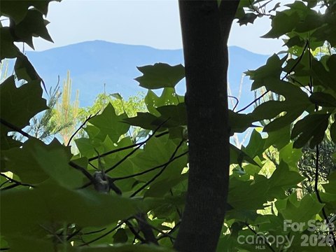 Haven Heights 4-Acre Homesite