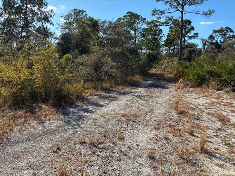 Residential Land Lot