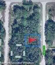 LAND - Avon Park, FL