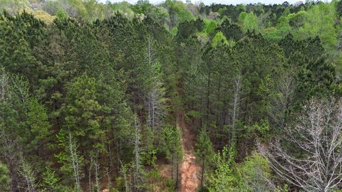 77 Acres in Alexander City