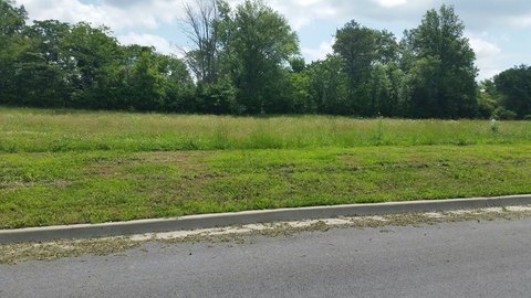 Carbondale Commercial Land Opportunity