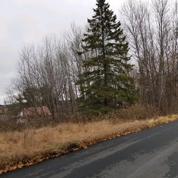Residential Lot in Limestone, Maine
