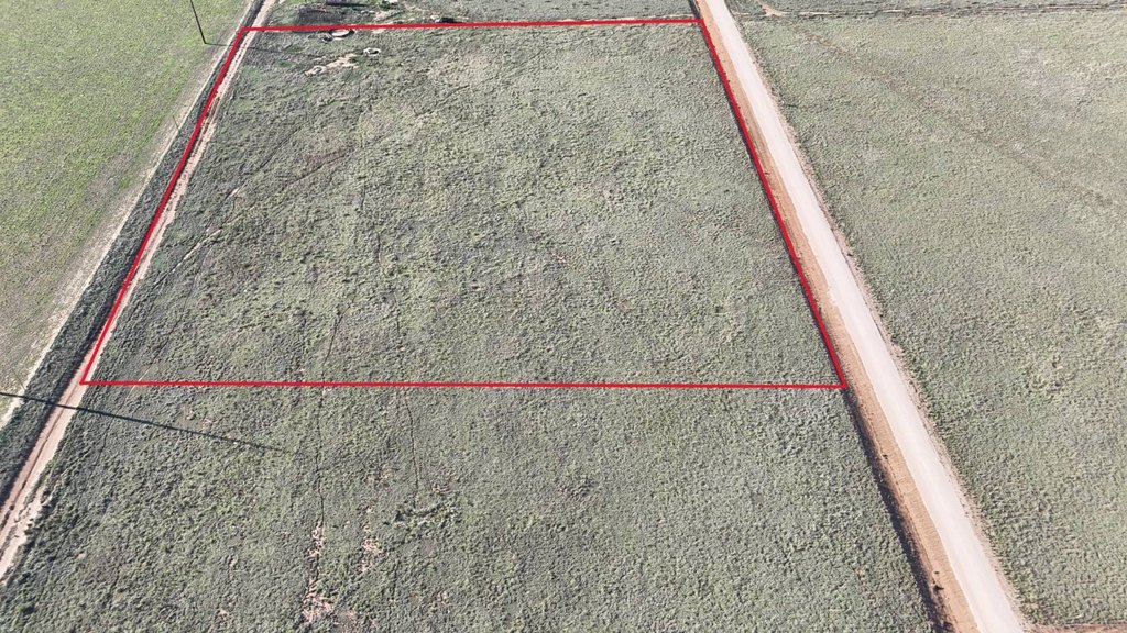Picture 3