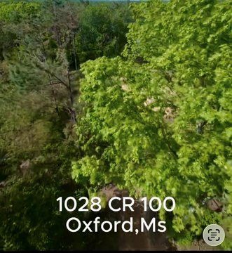 Wooded Land Near National Forest