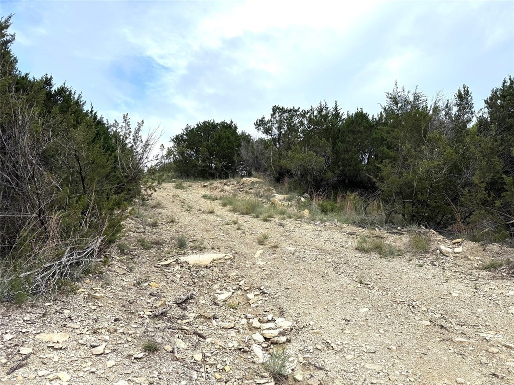 Picture 3