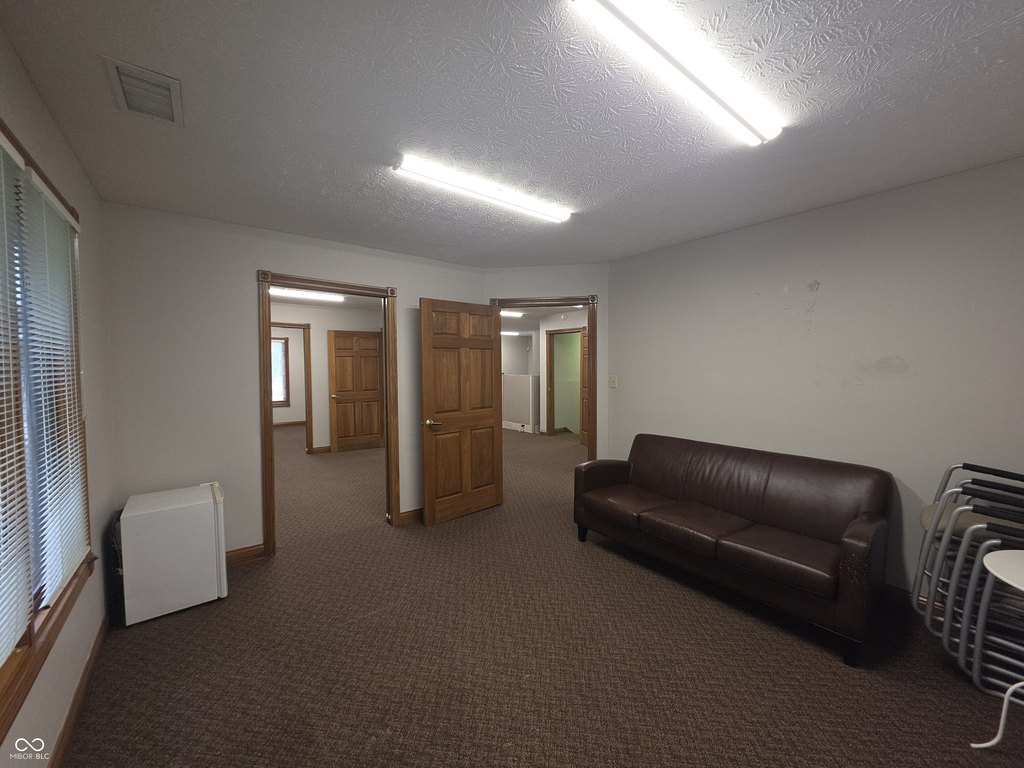 Picture 20