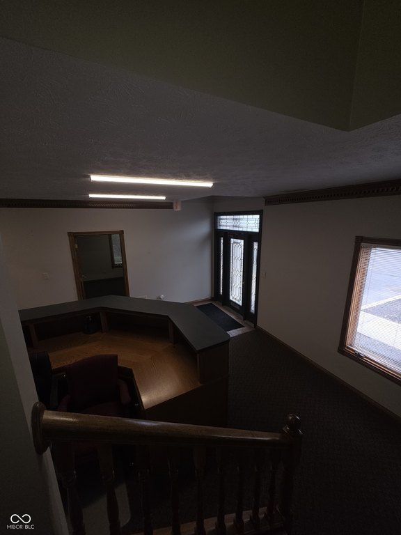 Picture 15