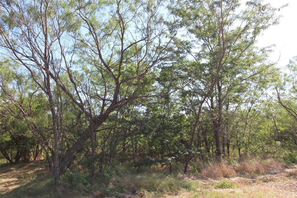 Picture 3