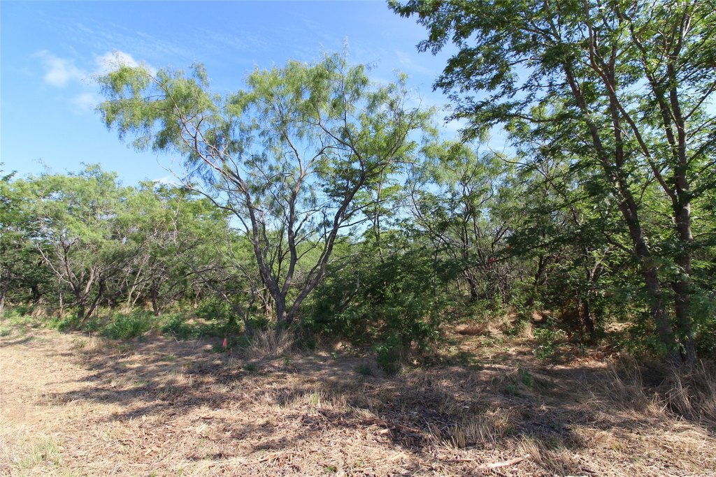Picture 10