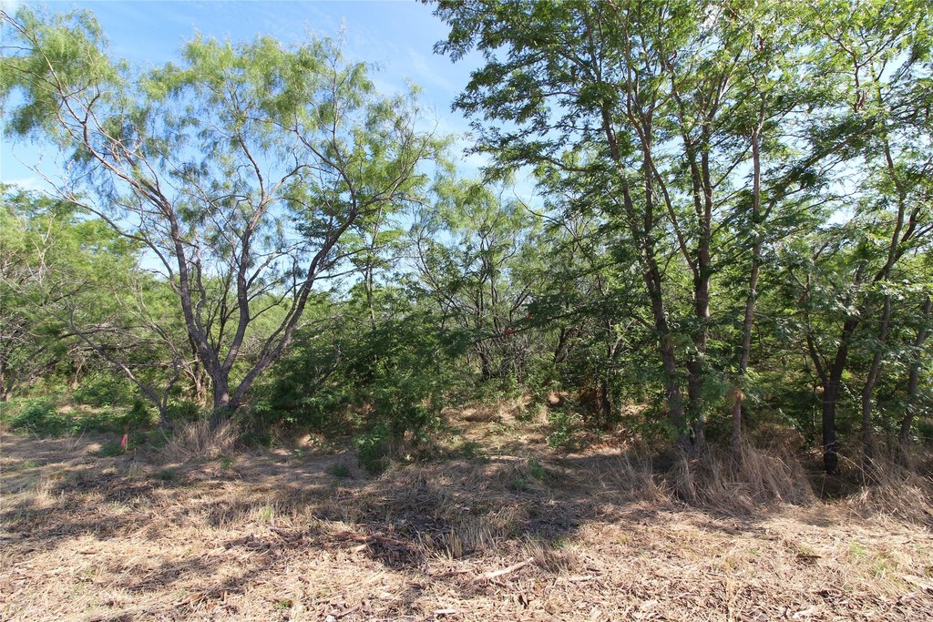 Picture 9