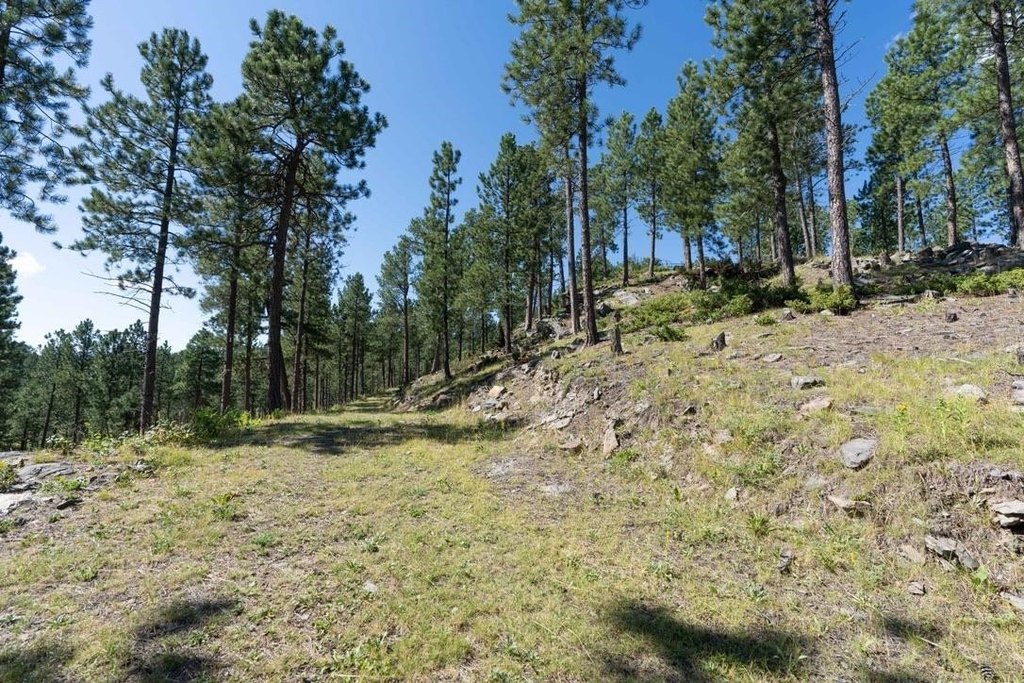 Picture 19