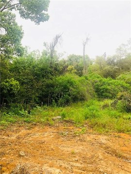 Fairhope Land Near Top Amenities