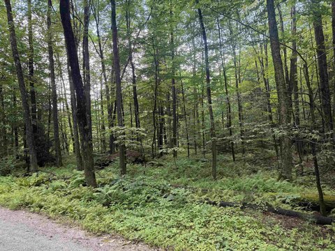 Land, Grafton, VT