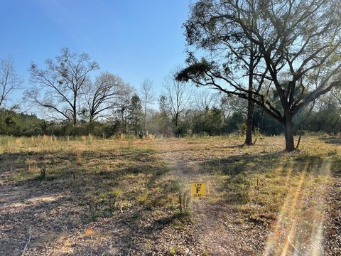 Residential Lot in Cowarts, AL