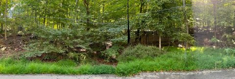 Hopewell Junction Wooded Land