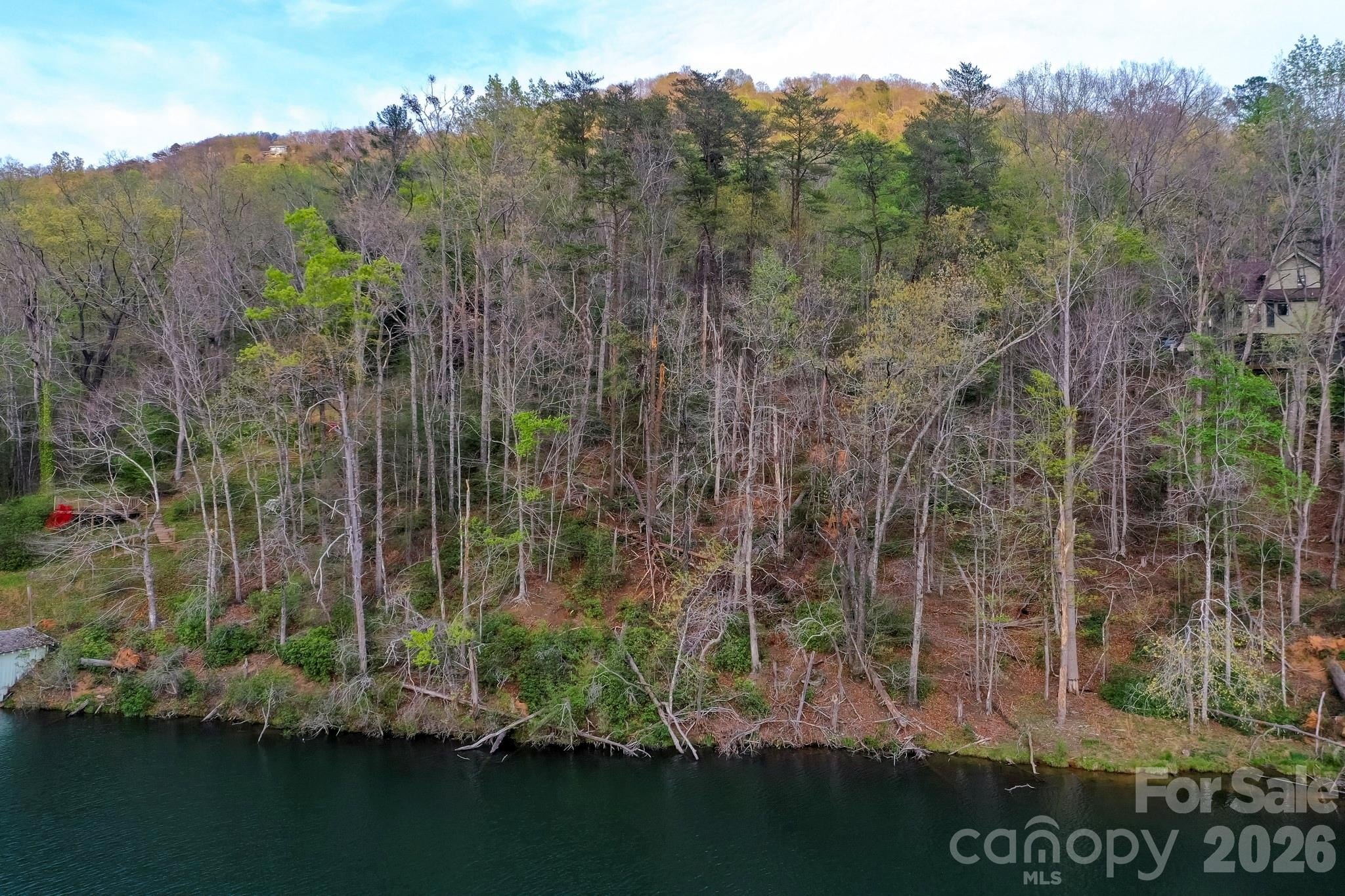 Lake Lure Waterfront Lot