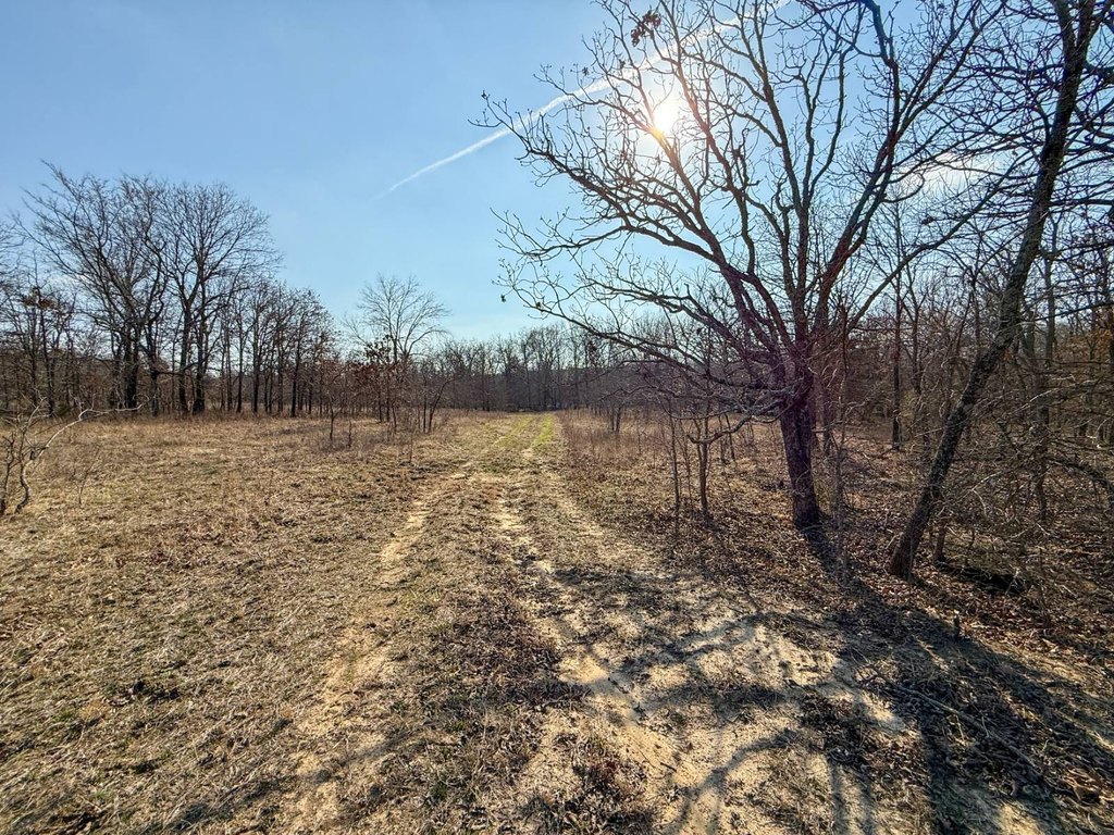 Picture 19