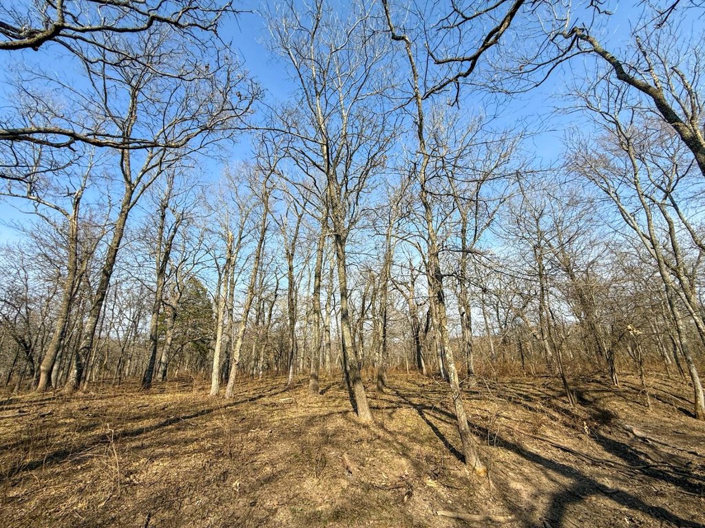 Picture 22