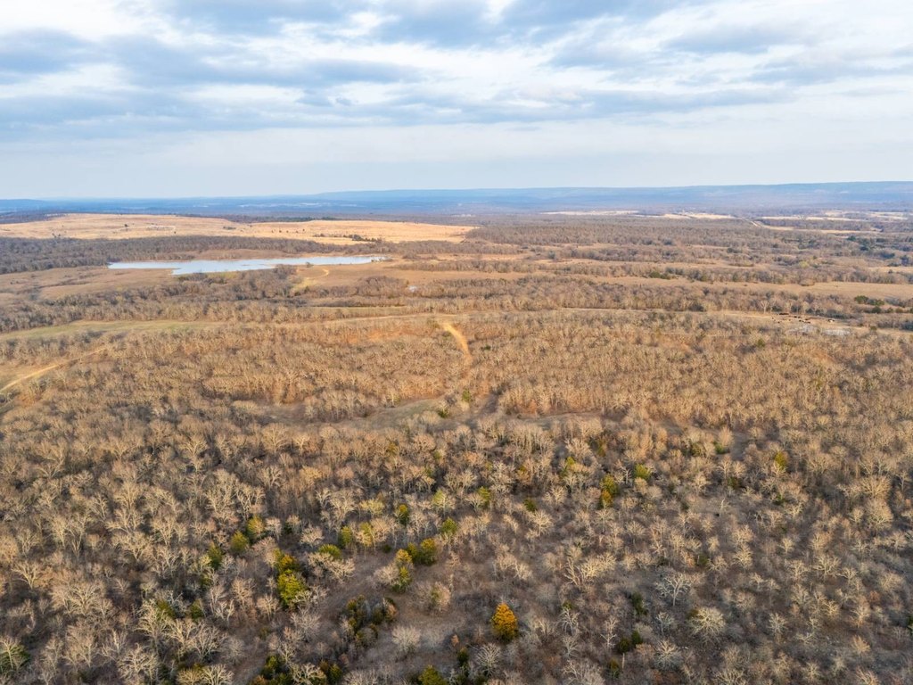 Picture 43