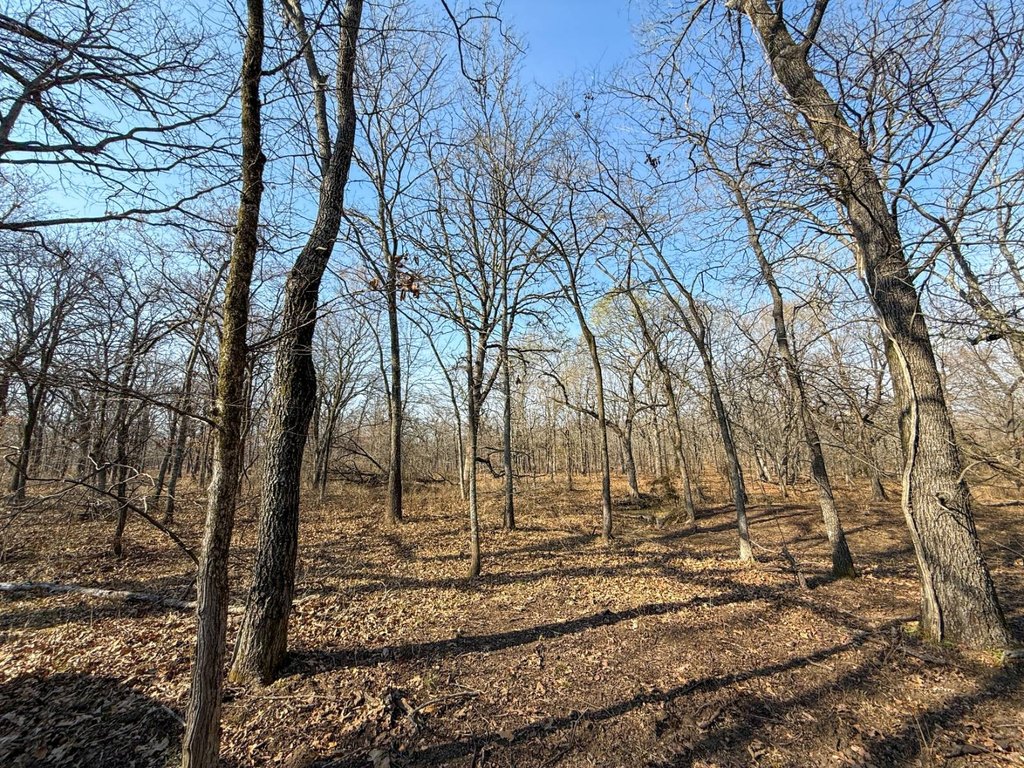 Picture 25