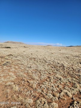 Land in Concho, Arizona