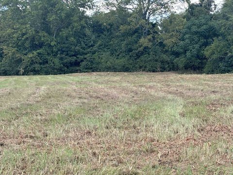 Prime 1.58 Acre Lot