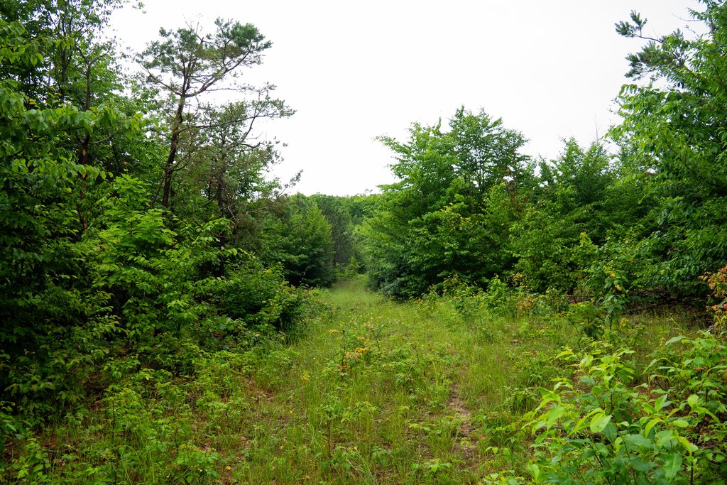Picture 19