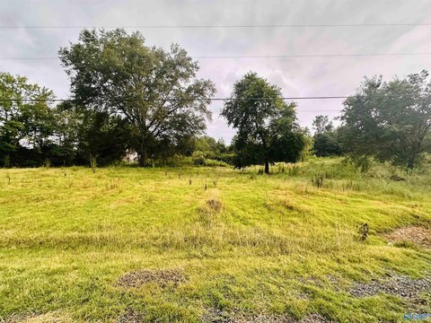 5 Acres in Sardis Area