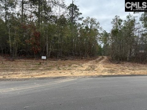 Wooded Buildable Lot with Gentle Slope