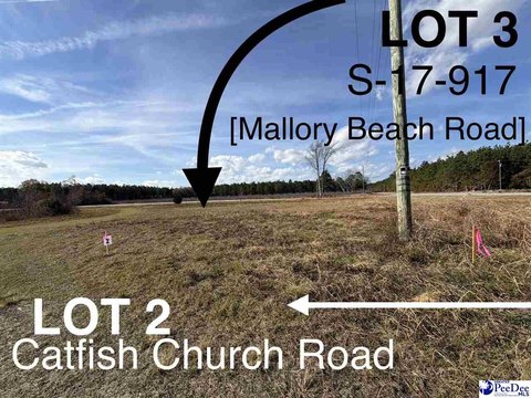 Cleared Land Lot in Latta