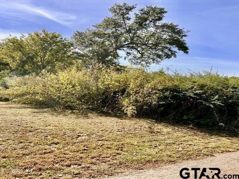 Residential Lot in Henderson, TX