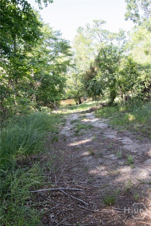 Picture 17
