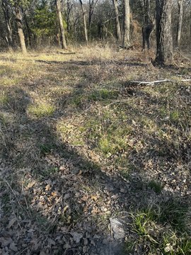 Residential Lot in Mabank, TX