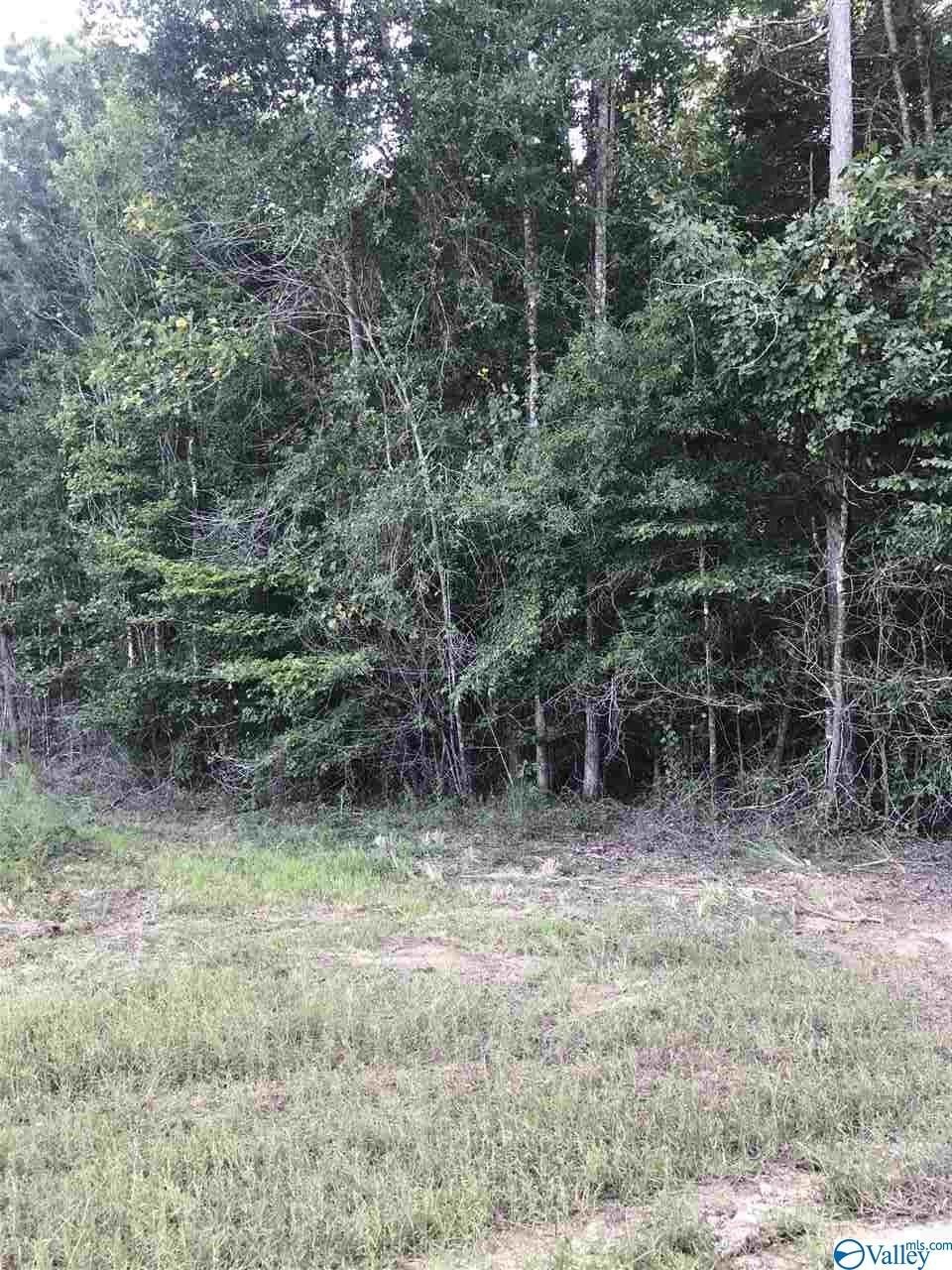 Wooded Lot in Moulton, AL