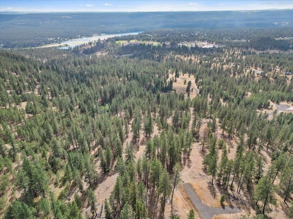 Forested Land in Deer Park