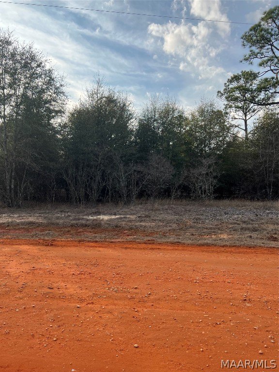 Land in Miller's Ferry