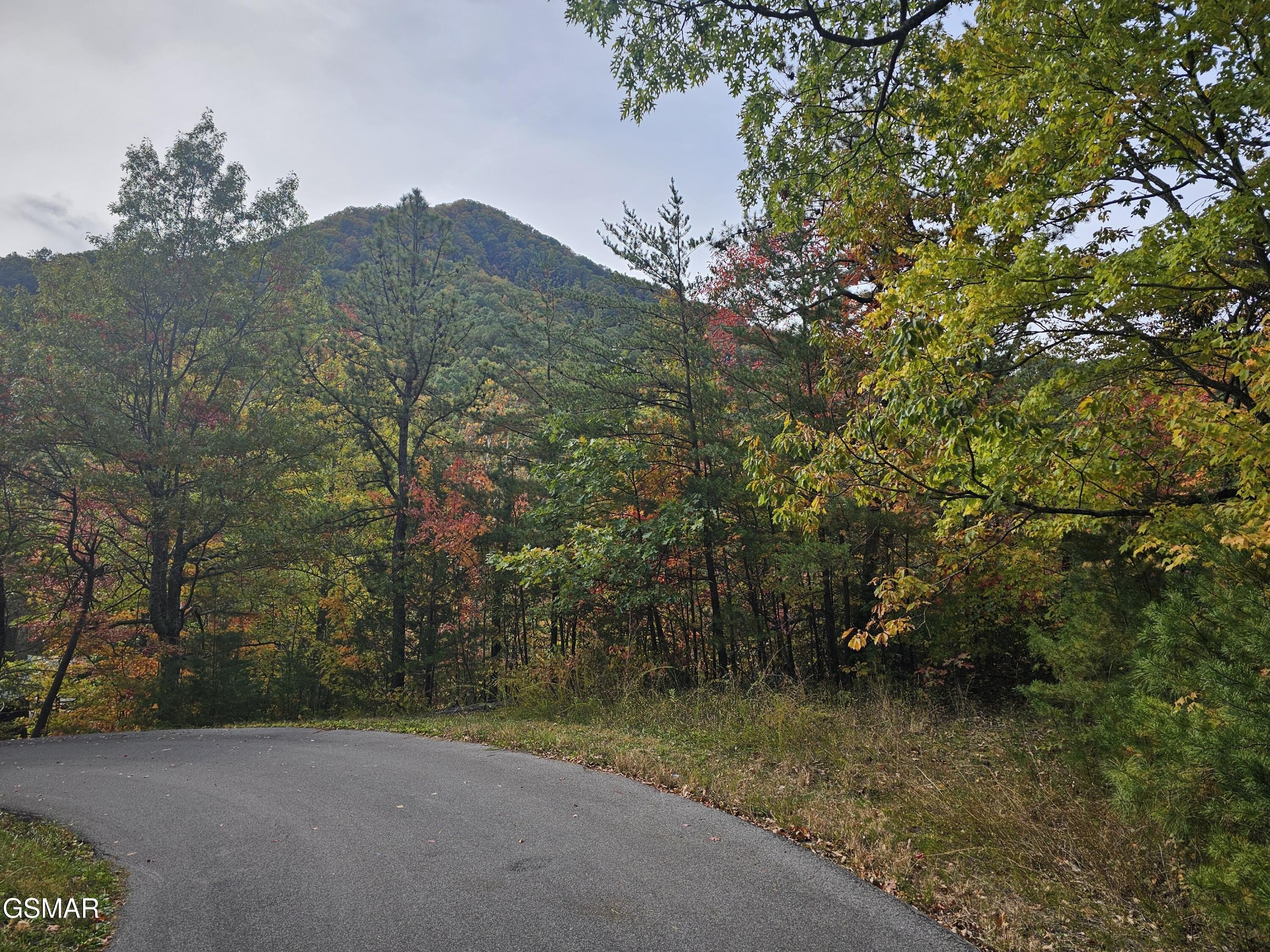 Residential Land in Sevierville, TN