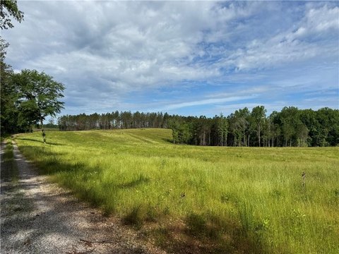 Pastureland in Five Points, AL