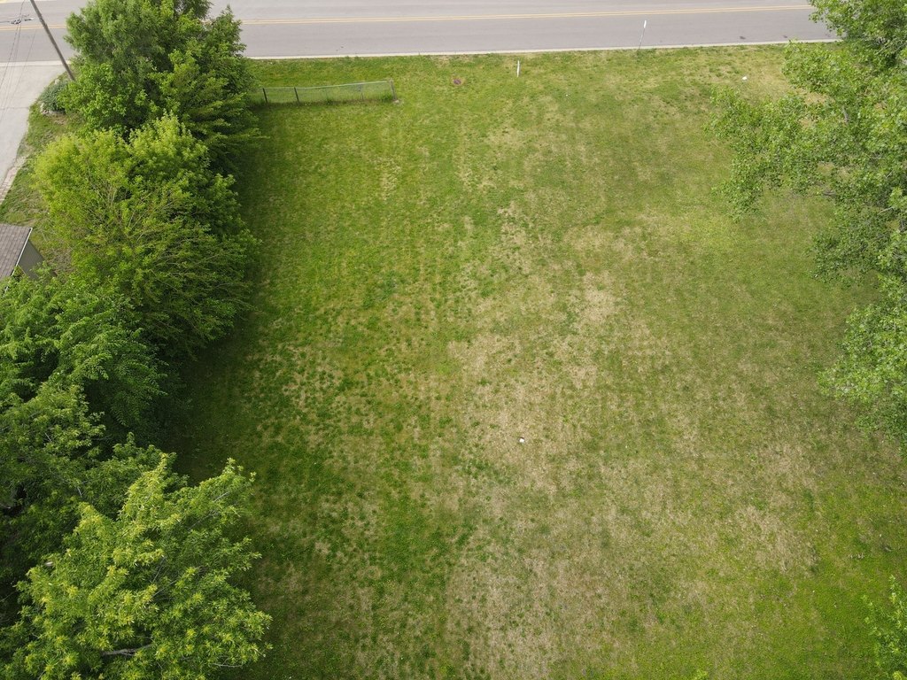 Picture 11