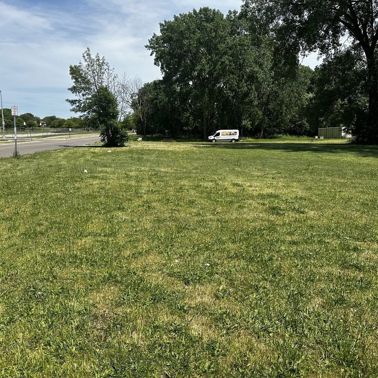 Picture 5