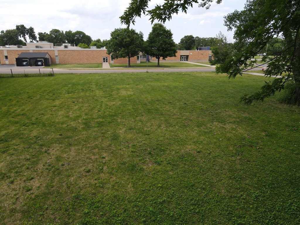Picture 13