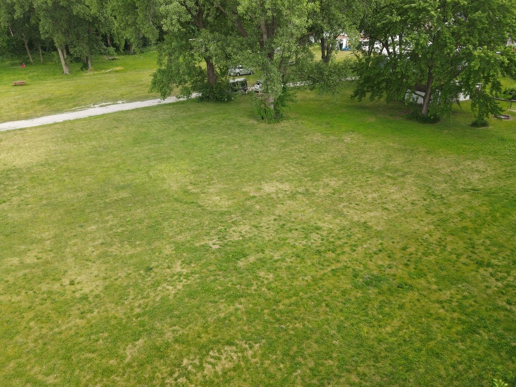 Picture 8