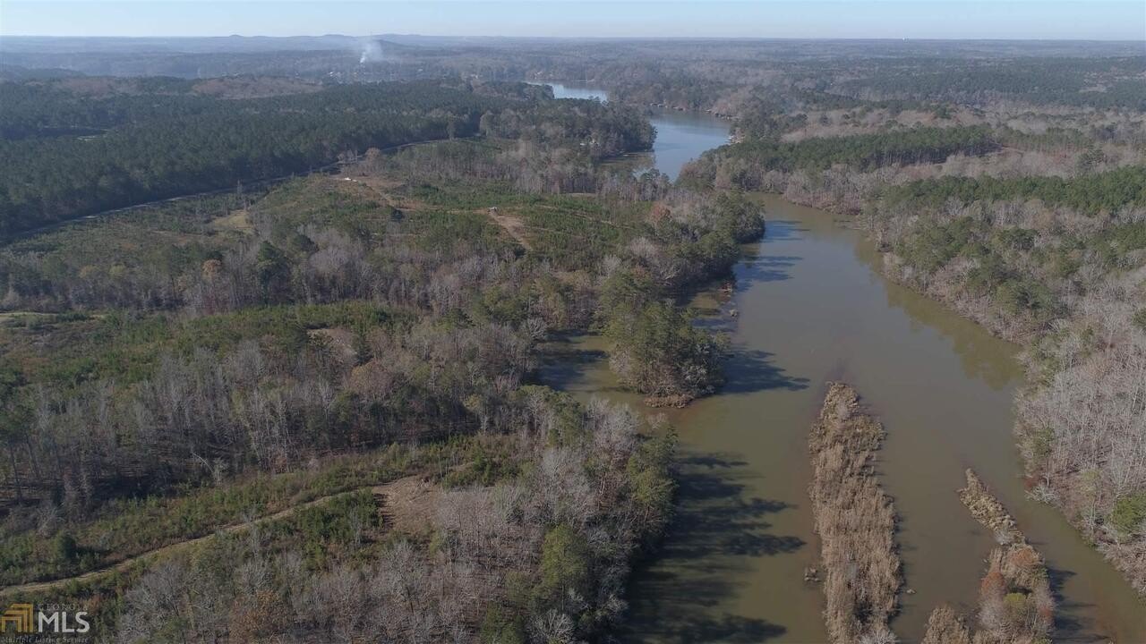 Hamilton, GA Land with Views