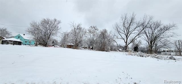 Picture 4