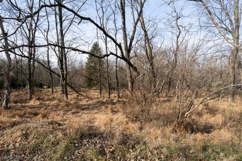 Secluded Acreage in Washington Township