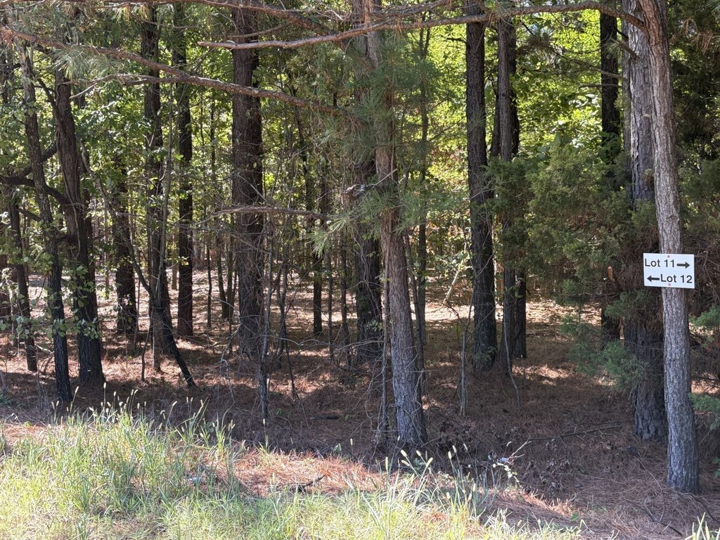 Picture 10