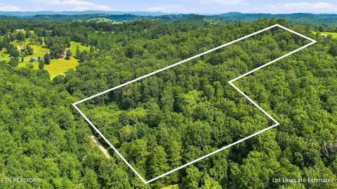 Lots & Acreage, Sharps Chapel, TN
