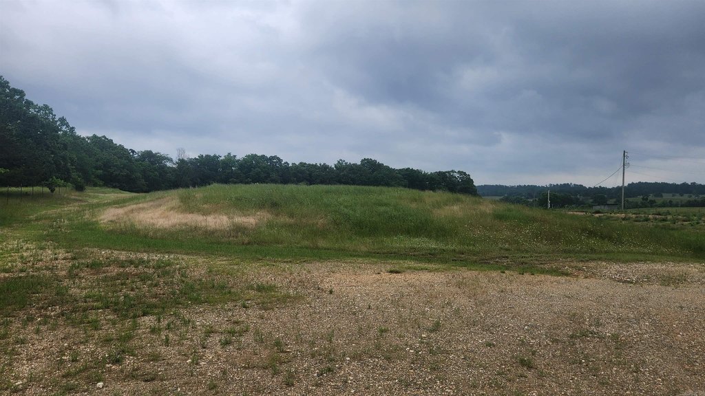 Picture 19